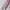 Uniqlo Ultra Stretch Dry Sweat Full-Zip Hoodie Lilac Ungu photo 4