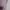 Uniqlo Ultra Stretch Dry Sweat Full-Zip Hoodie Lilac Ungu photo 5