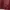 Work Jacket Leopard Maroon photo 6
