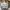 Authentic thom browne plated shirt made in italy photo 4
