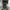 Stroller babyelle argos 360 NEW photo 4