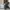 Stroller babyelle argos 360 NEW photo 2