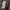 Down parka M65 Army By. Adidas photo 4