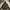 Down Parka M65 Army By. Adidas
