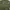 Down parka M65 Army By. Adidas photo 3