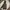 Down parka M65 Army By. Adidas photo 7