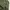 Down parka M65 Army By. Adidas photo 8