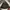 Down parka M65 Army By. Adidas photo 5