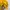 Adidas Y2K Hoody Pria yellow photo 2