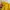 Adidas Y2K Hoody Pria yellow photo 5