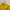 Adidas Y2K Hoody Pria yellow photo 3