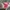 Knitwear genca floral pattern graphic vintage full ziper  photo 2