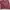 Sweatshirt Burgundy photo 1