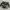 Army Short jeans photo 1