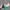 Vintage Streetwear Hat Pria green cream photo 2
