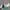 Vintage Streetwear Hat Pria Green Cream