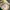 Vintage Streetwear Hat Pria green cream photo 3