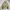 Karakuri Tamashii Sakura Flower Embroidery Boa Fleece Jacket photo 6