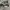 Nb 1906r dawnglow  photo 5