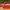 Nike Sportswear Sneakers Pria orange photo 2