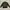 Feltics Outerwear Kids Green