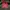 Feltics Outerwear Kids green photo 7