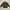 Feltics Outerwear Kids green photo 1