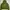 Hoodie gemoy oversize psh333 second (3052) photo 1