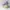 Kangol Ventair Tropic 504 Digital Lavender Color Flatcap photo 6