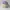 Kangol Ventair Tropic 504 Digital Lavender Color Flatcap photo 4