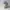 Kangol Ventair Tropic 504 Digital Lavender Color Flatcap photo 1