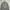 Crewneck uniqlo second (3060) photo 1