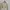 Crop White  photo 1