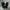 AIR JORDAN ESSENTIALS STATEMENT JOGGER PANTS