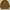 Hunting Jacket Troy Bros | Jacket Parka Troy bros photo 1