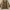 Hunting Jacket Troy Bros | Jacket Parka Troy bros photo 2