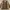 Hunting Jacket Troy Bros | Jacket Parka Troy Bros