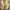 Dickies Streetwear Casual Boots Pria tan photo 5
