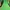 Kaos Merrel Outdoor Green Kaos Gunung Outdoor Hiking Trekkin photo 3