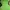 Kaos Merrel Outdoor Green Kaos Gunung Outdoor Hiking Trekkin photo 1
