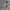 polo knitwear pattern minimalis photo 4