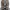 Chelsea boot dr. Martens flora photo 6