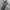 Vintage Flight Jacket Suede photo 4