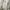 Zara Minimalist Casual Blouse Wanita white photo 1