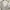 GU Casual Maxi dress Wanita khaki tan photo 2