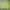 Reebok Sportswear Polo shirt Pria green photo 1