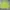 Reebok Sportswear Polo Shirt Pria Green