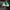 sepatu sneakers vans authentic green photo 4