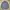 Pierre Cardin Casual Polo Shirt Pria Multicolor