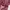 Casual Bomber jacket Pria burgundy photo 5